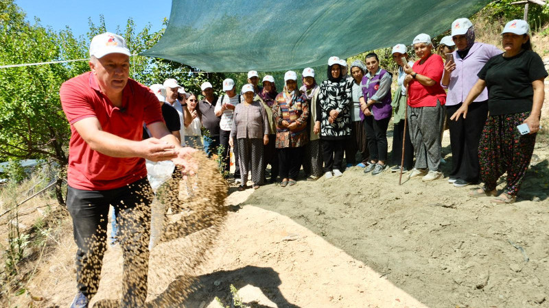24 BİN ADET AKZAMBAK SOĞANI DAĞITILDI