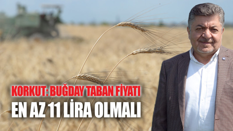 KORKUT: BUĞDAY TABAN FİYATI EN AZ 11 LİRA OLMALI