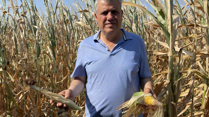 Adanalı çiftçiler, sulama mağduru