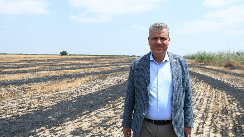 ANIZ YANGINLARI FELAKETE SEBEP OLUYOR